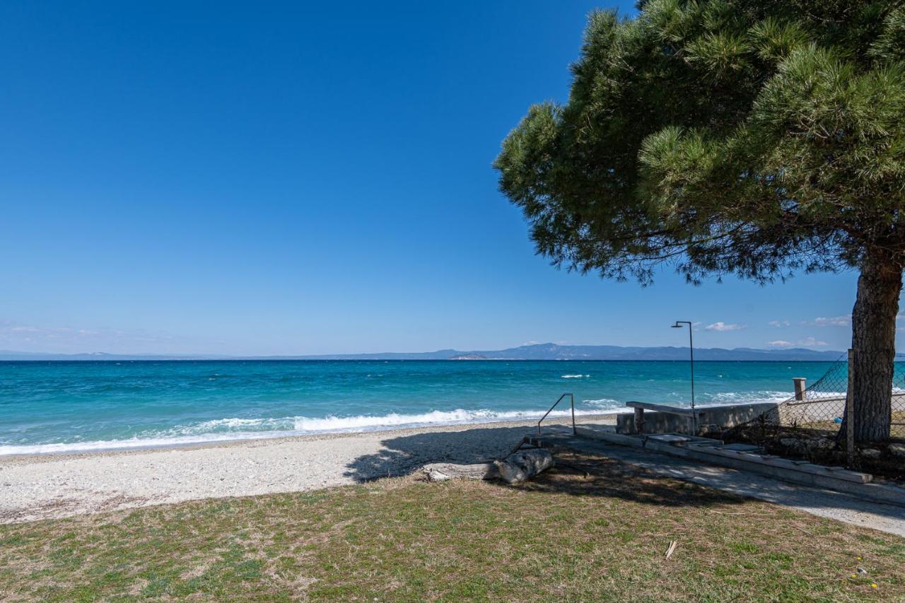 #Flh - Amalthia & Αthena Beachfront Houses In Pefkohori 외부 사진